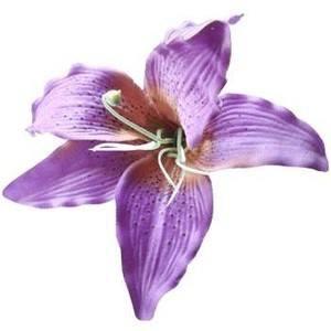Cultivating Purple Lilies Inc. Logo
