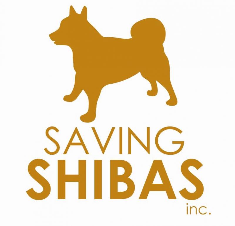 Saving Shibas Inc Logo