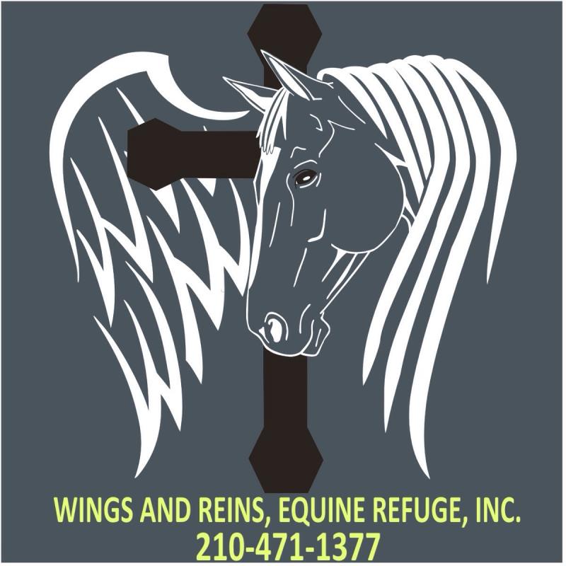 WINGS AND REINS Logo