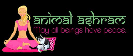 ANIMAL ASHRAM CORP Logo