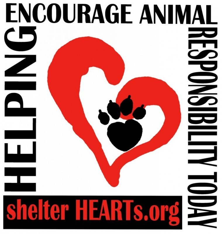 Shelter Hearts Logo