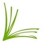 Literacy Volunteers on the Green Logo