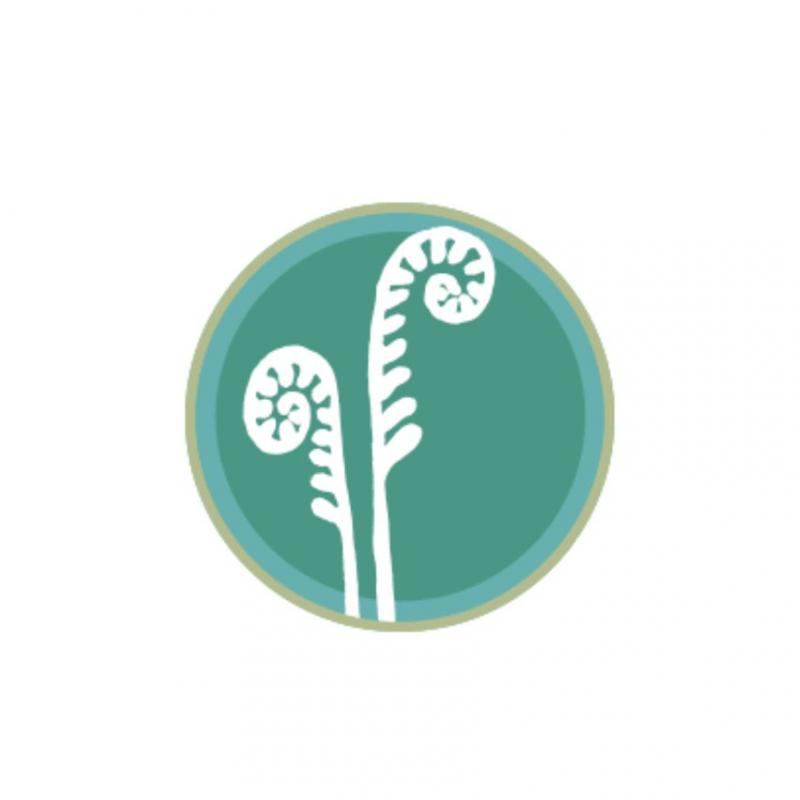 Dream Big Wellness Logo