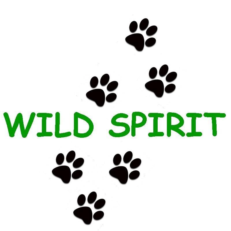 Wild Spirit Education Logo