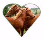 For the Love of Horses Inc Logo