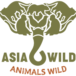 Asia Wild Logo