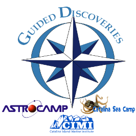 Guided Discoveries, Inc. Logo