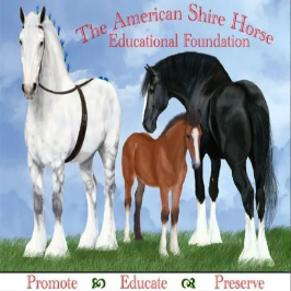 American Shire Horse Educational Foundation Inc Logo