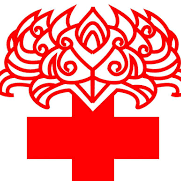 Children's Surgical Centre Logo