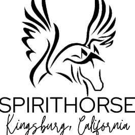 Spirithorse Therapeutic Riding Center Logo