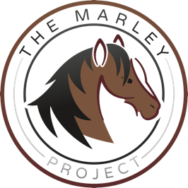 Marley Project Inc Logo