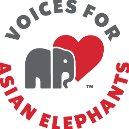 Voices for Asian Elephants Logo