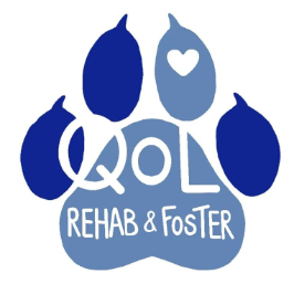 Quality Of Life Rehab & Foster Inc Logo