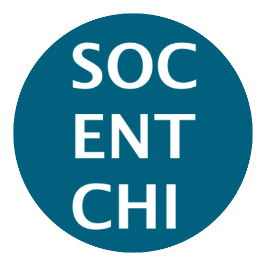 Social Enterprise Chicago Logo