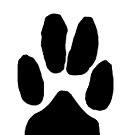 Apollo S Pals Sanctuary Rehabilitation And Adoption Inc Logo