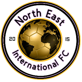 North East International Fc Logo