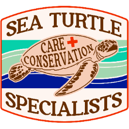 Sea Turtle Care & Conservation Specialists Corp Logo