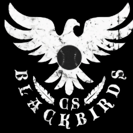 BlackBirds Baseball Limited Logo