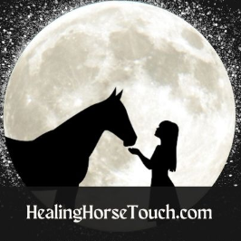 Healing Horse Touch Company Logo
