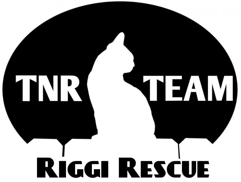 Riggi Rescue Logo