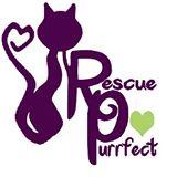 RESCUE PURRFECT Logo