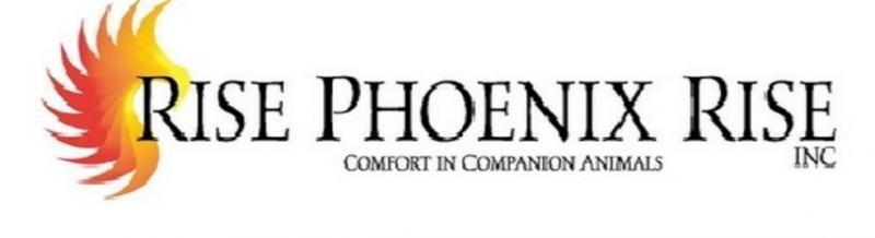 Rise Phoenix Rise, Inc Logo