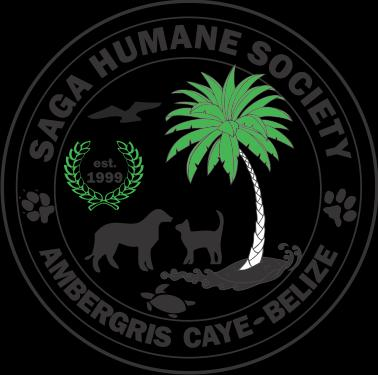 THE SAGA SOCIETY FOUNDATION INC Logo