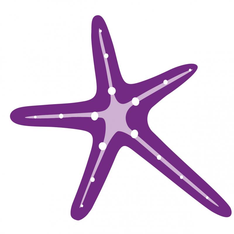 unLIMBited Foundation Logo