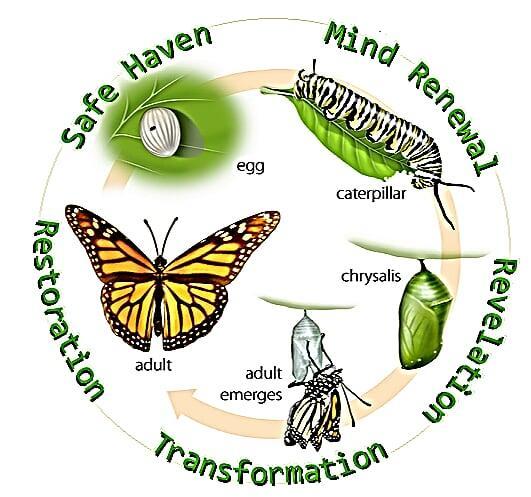 Shepherd's Transformation Mansions Communities Logo