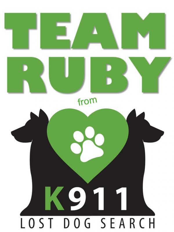 K911 Lost Dog Search Inc Logo