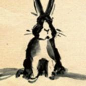 Blossoms Bunnies Wildlife Rehabilitation And Rescue
