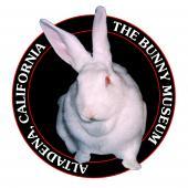 The Bunny Museum