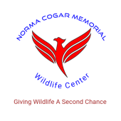Norma Cogar Memorial Wildlife Center Inc