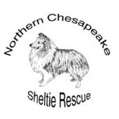NORTHERN CHESAPEAKE SHELTIE RESCUE