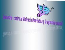 Domestic Violence Coalition Inc