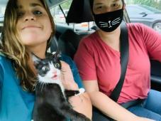 The Feline Rescue Association, Inc.