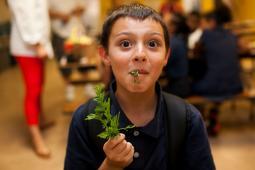 Food Literacy Center