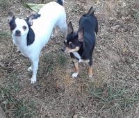 HEART OF THE EARTH SANCTUARY AND RESCUE INC