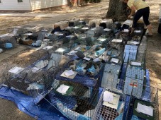 Animal Victory Disaster And Abuse Fund