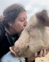 No Swine Left Behind