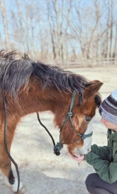 Acres At Magnolia Equine Rescue And Sanctuary