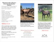 Broken Road Horse Rescue