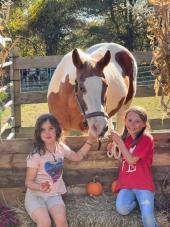 Central New England Equine Rescue Inc