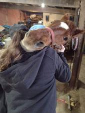 Lakeview Animal Sanctuary Inc