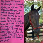 Freedom Reigns Ranch