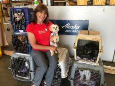 Bichons and Buddies