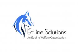 EQUINE SOLUTIONS INC