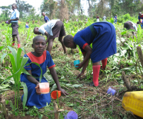 African Food & Peace Foundation