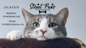Street Paws