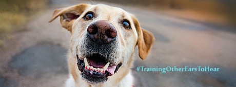 International Hearing Dog, Inc.
